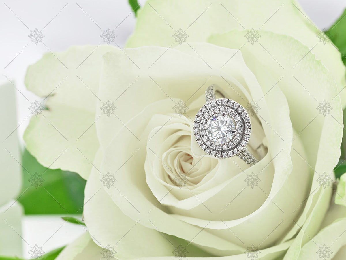 halo diamond ring and white rose