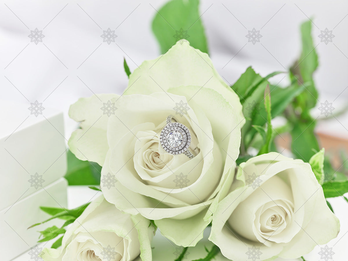 diamond halo ring and white rose spring jewellery