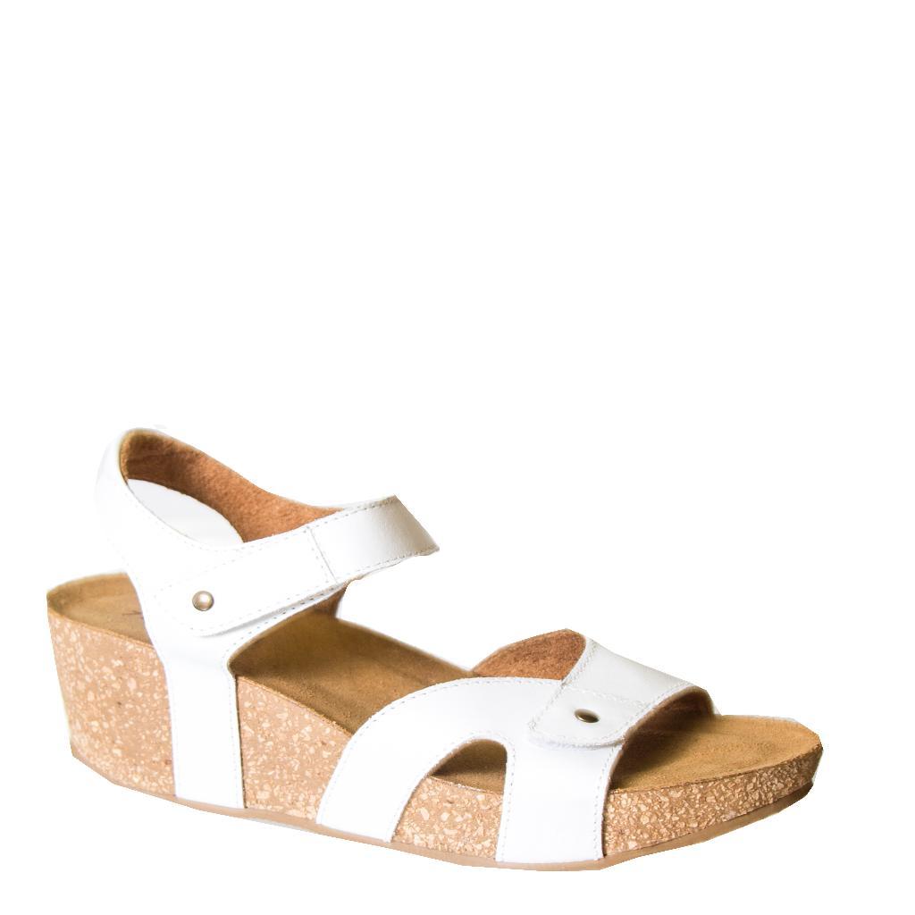 axxiom wedges