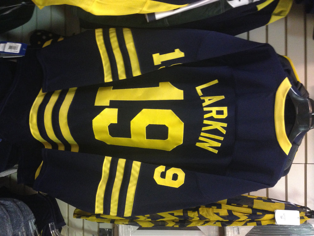 dylan larkin michigan hockey jersey