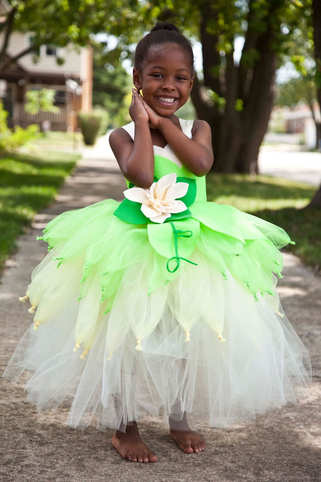 princess dress tutu