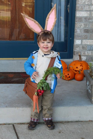 Peter Rabbit Felt costume