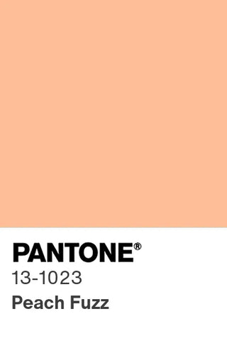 Peach Fuzz Pantone Colour of 2024