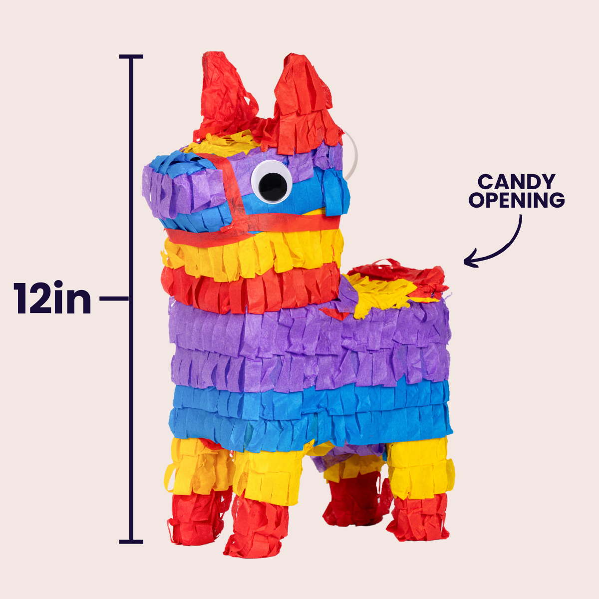 Bertram Birthday Piñatagram