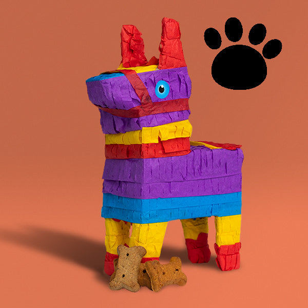 Pupyata with Dog - Piñatagrams