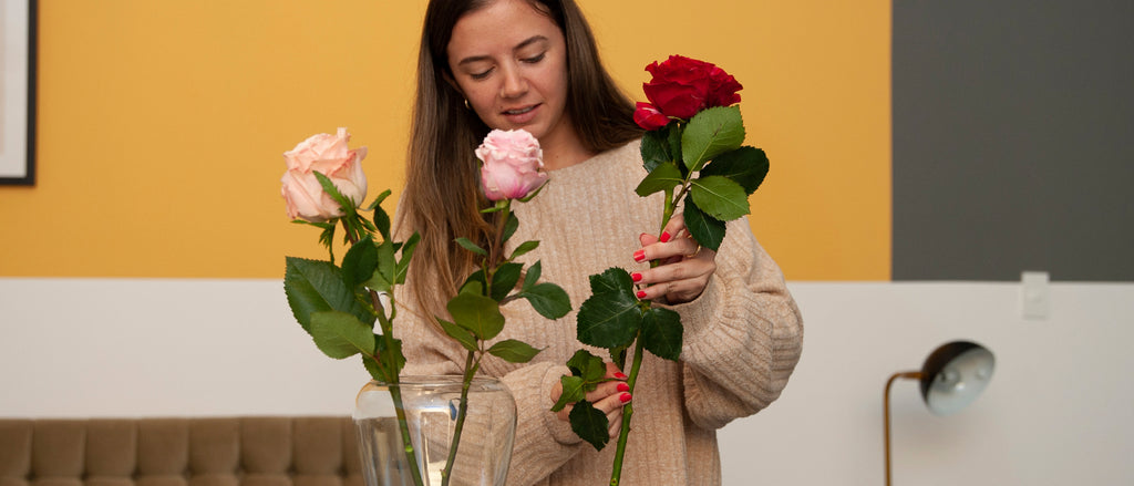 Garden Roses