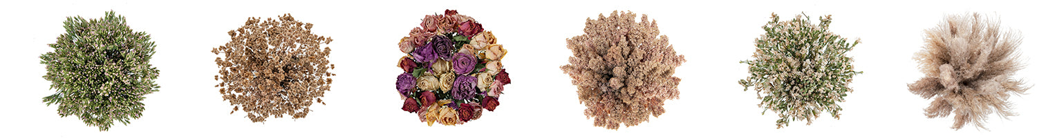 Dried Florals