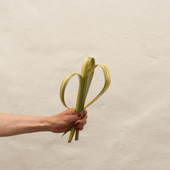 DIY tutorial leafy greens