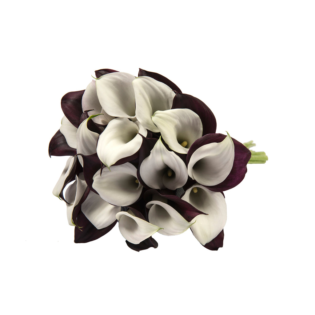 Wholesale White & Black Double Callas | 40 Stems | Bloomingmore
