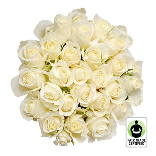 Roses 50 Stems of White Farm Direct Fresh Cut Flowers with Hand Painted  Gold Glitter on the Bloom Tips by Bloomingmore