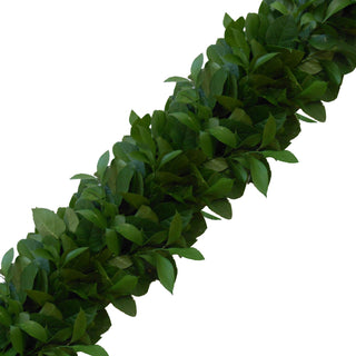 Signature Series' Ruscus Rave! Fresh Garland By Pacific Garland