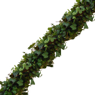 Fresh Salal & Tree Fern Premium Garland By Pacific Garland - Pacific  Garland, LLC