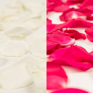 Premium Fresh Rose Petals in Bulk  Free shipping nationwide – Bloomingmore