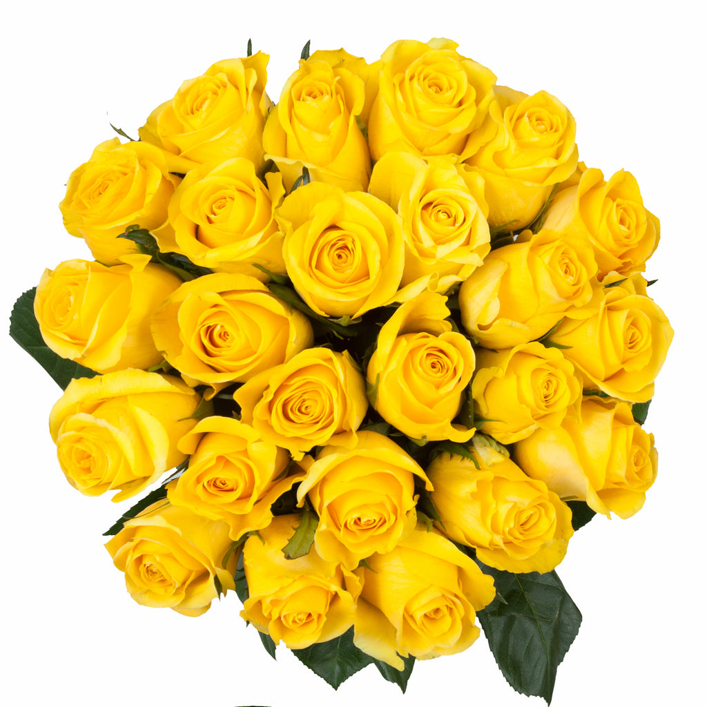 Yellow Premium Roses | Premium Wholesale Flowers | Free Shipping