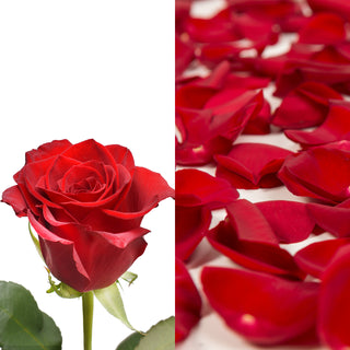Member's Mark Roses & Petals Combo, 75 stems and 2000 petals (Choose color)  - Sam's Club