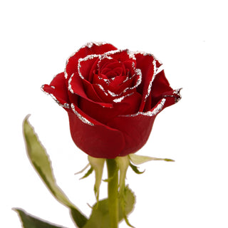 Wholesale artificial glitter red rose To Beautify Your Environment