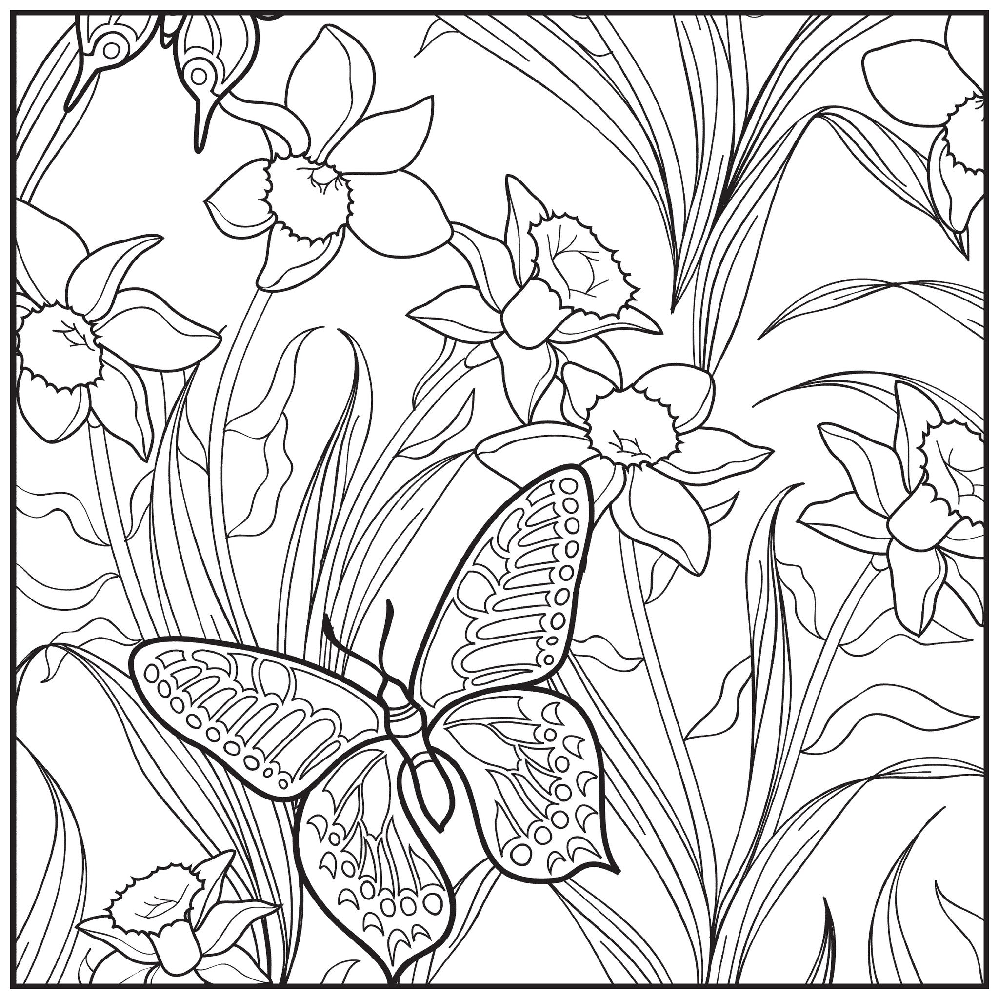 Download Botanical Garden Adult Coloring Book With Relaxation CD ...