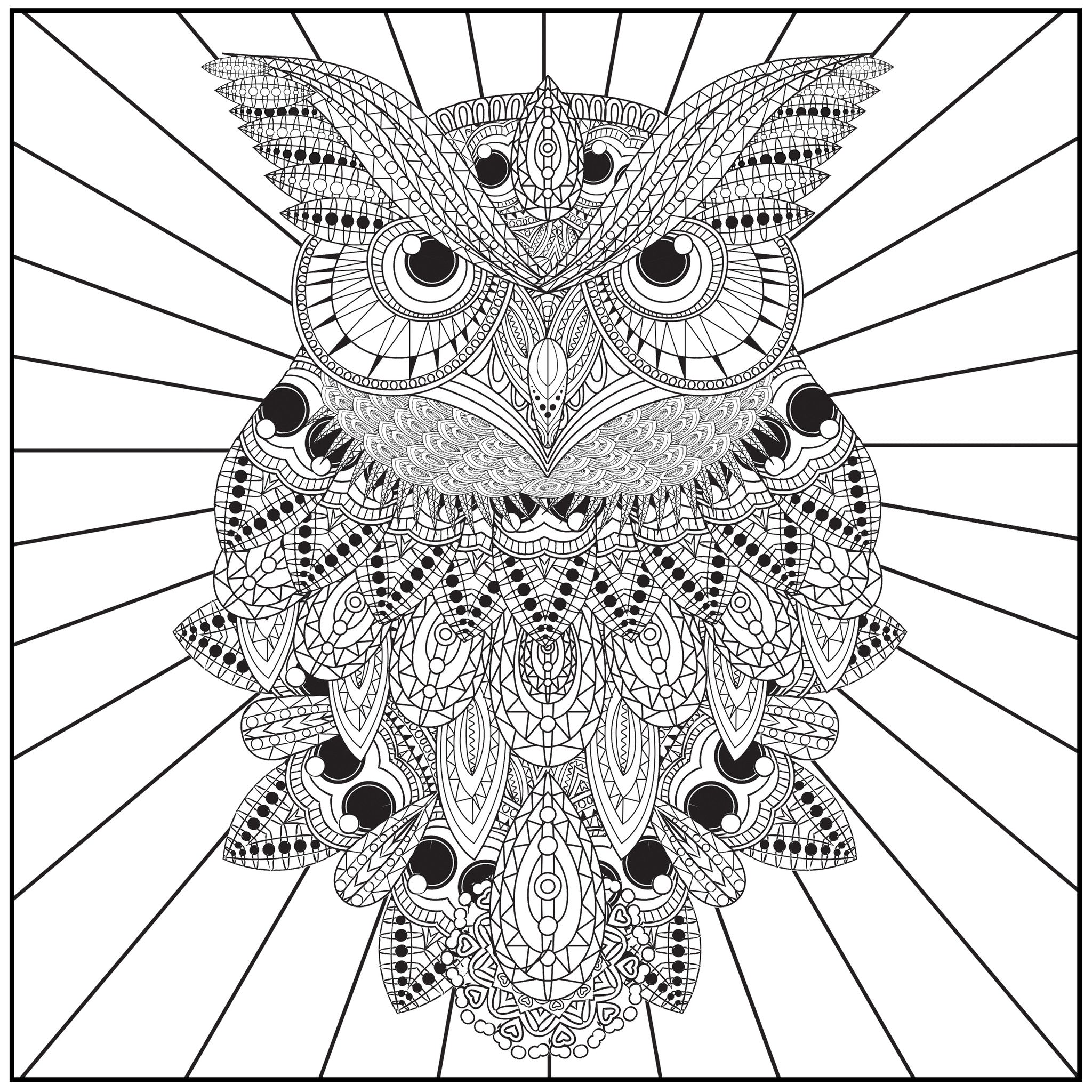 Download Owls Adult Coloring Book With Relaxation CD - Color With Music