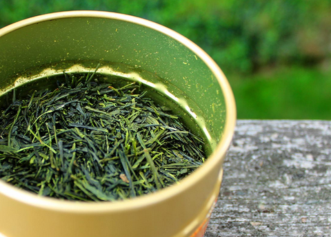 how-to-make-a-diy-green-tea-cleanser