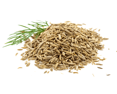 fennel for breast milk production