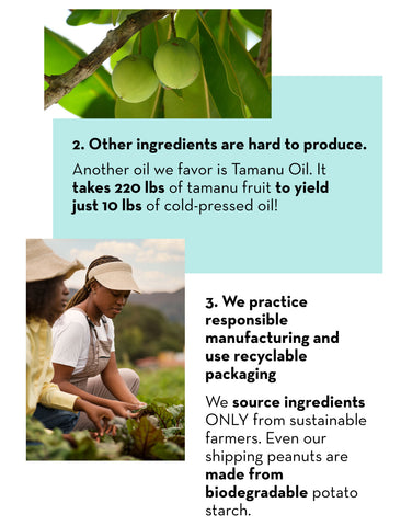 ic:Tamanu oil to help scars, marks and burns + responsible manufacturing at The Spoiled Mama