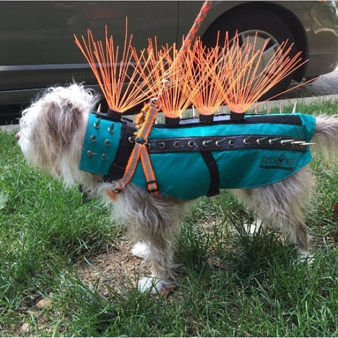 coyote vest with spikes