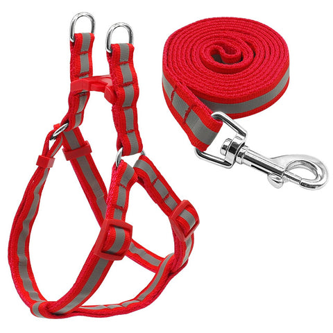 matching dog harness and leash