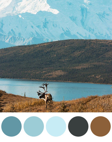 One Tiny Tribe - Boys Room Colour palettes inspired by the great outdoors