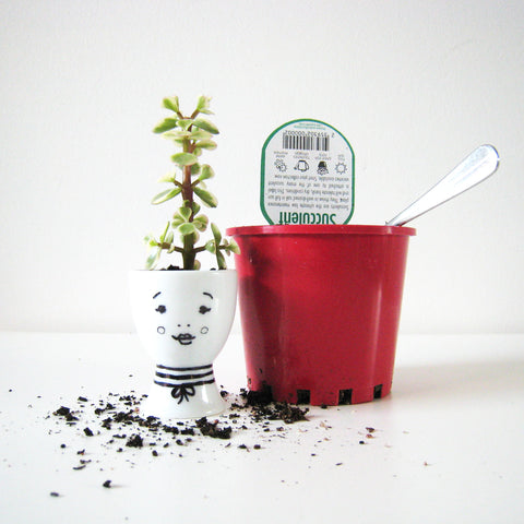 DIY mini planters by One Tiny Tribe