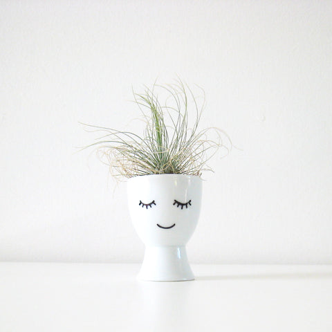 DIY mini planters by One Tiny Tribe