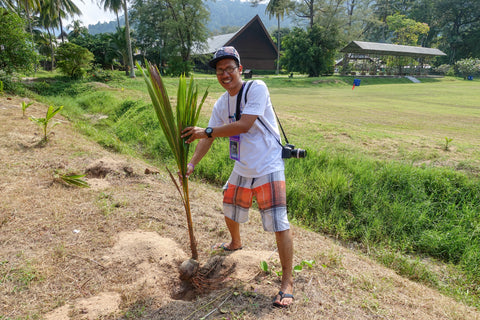 tanam pokok sempena TICD 2017