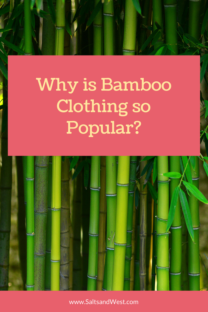 Why is Bamboo Clothing So Popular?