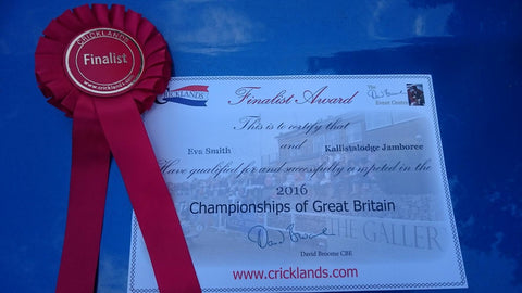 Sponsored Rider David Broome National Show Jumping Championships - Craftwear Equestrian Online Saddlery