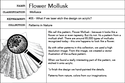 Mollusk - Flower Info Card