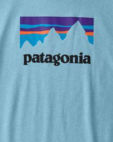 patagonia t shirt