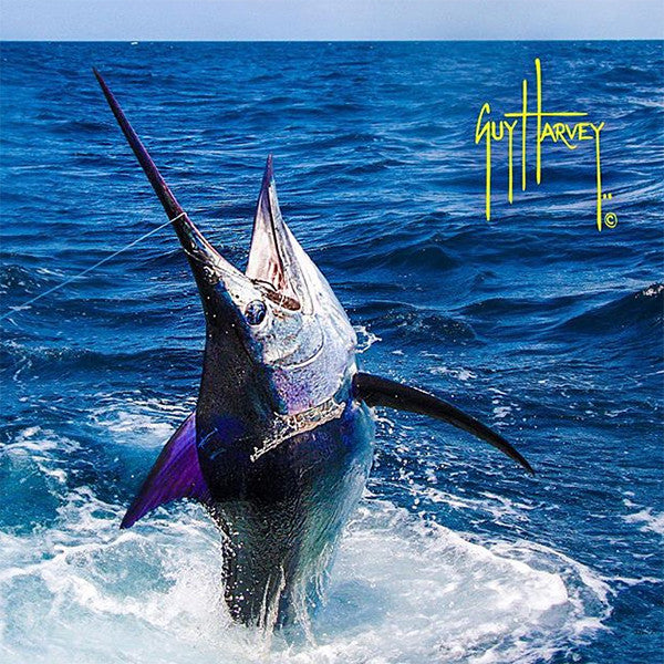 guy harvey marlin wallpaper