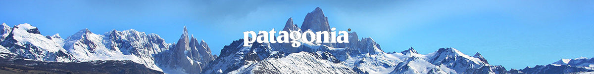 patagonia womens vests