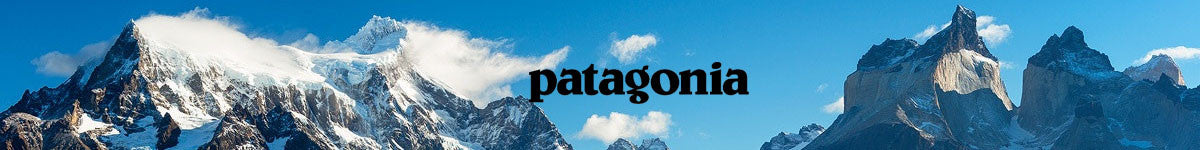 patagonia vests