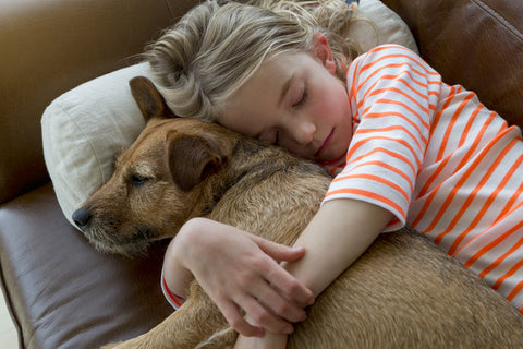 co-sleeping-with-pets-dog-cat-puppy-kitten-Family-Bed-extra-wiggle-room-REM-sleep-cycles-animals-dreams
