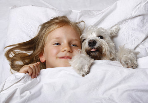 cute-puppy-dog-child-in-bed-king-size-mattress-sale-bedding-mart-Conway-AR