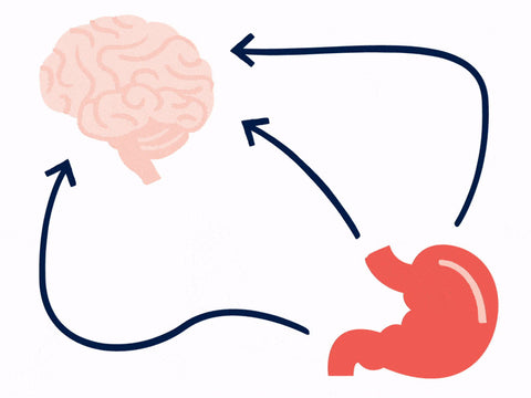 Probiotics: The Gut-Brain Connection, illustration of gut and brain, What is your gut?
