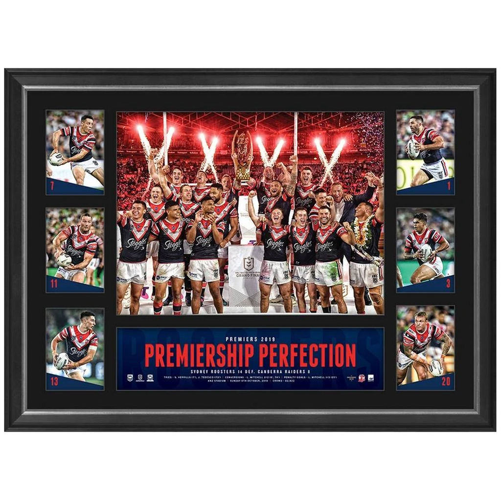 Sydney Roosters 19 Nrl Premiers Official Deluxe Tribute Frame 39 Ht Framing Memorabilia