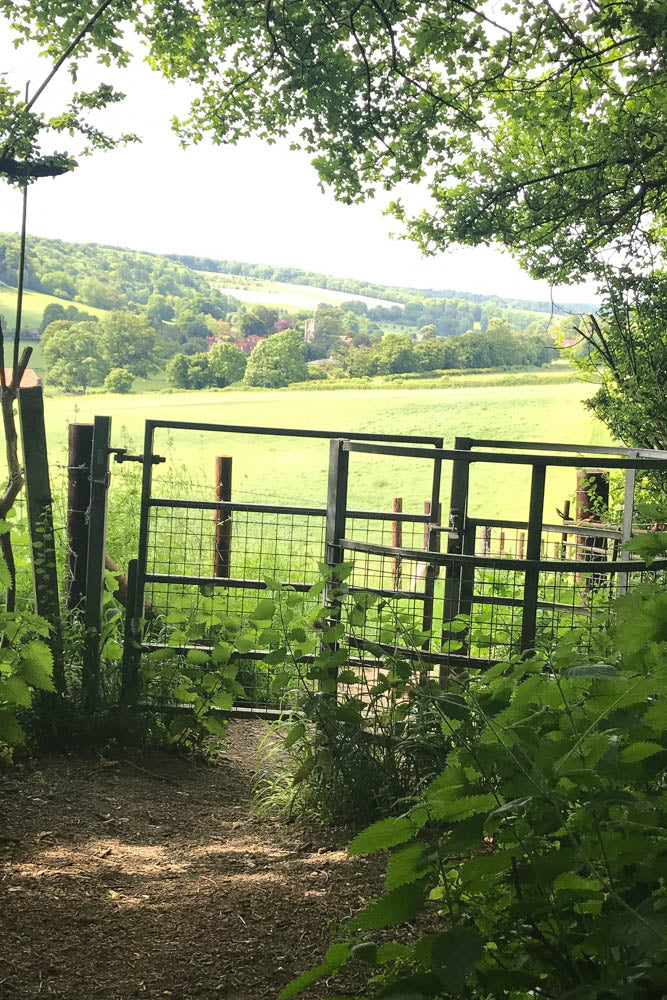 A picnic in Hambleden location for Miss Marple Chitty Chitty Bang Bang and 101 Dalmations