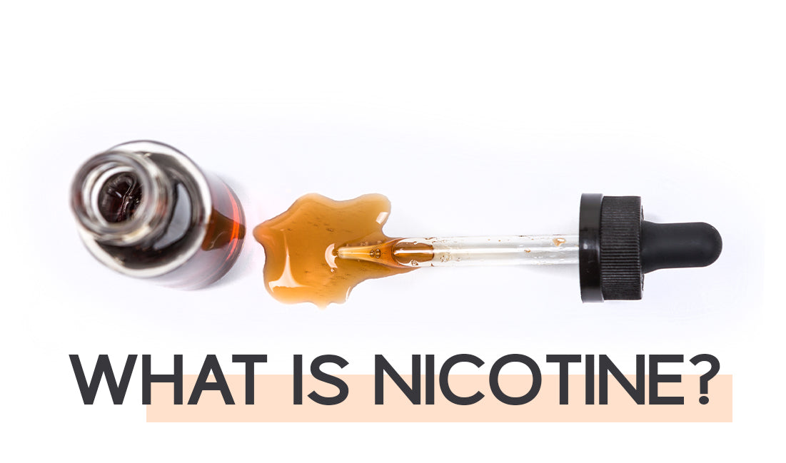 What is nicotine ?