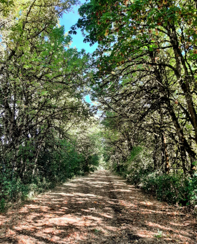 Applegate Trail