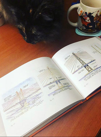 tilikum crossing lays open on a table surface with a cup of tea and a black cat in the background