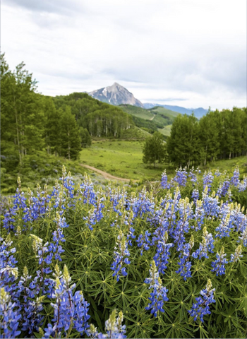 Mountains of Crested Butte, Colorado
