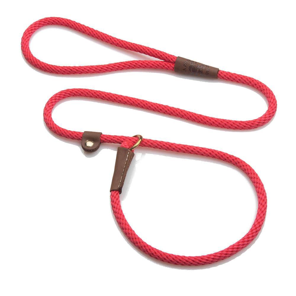 slip leash for dogs