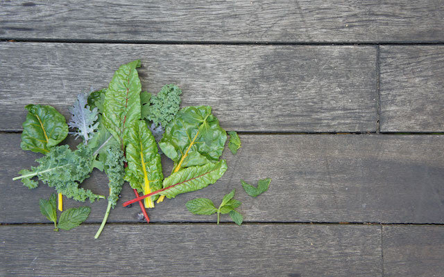 Macro Veggies