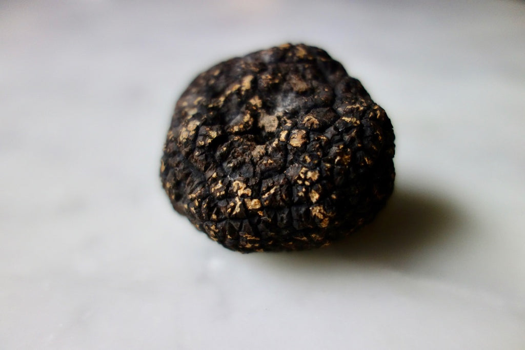 Black Burgundy Truffle